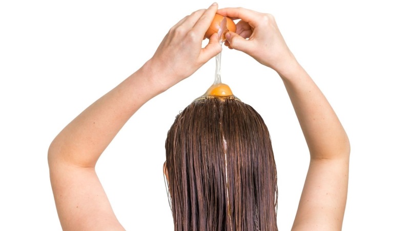 Manfaat Telur Rambut